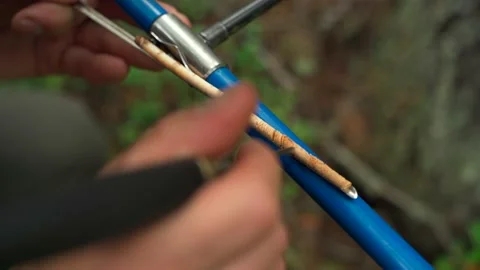 Man measures trunk of large tree with measuring tool. Stock Footage 160896141