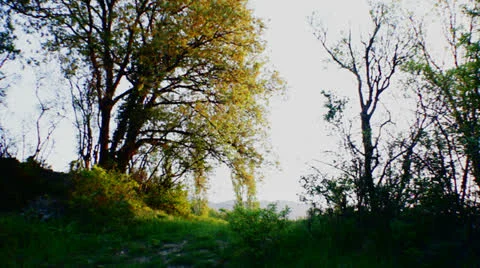 A man meets a dawn in the mountains, the forest Stock Footage 23617767
