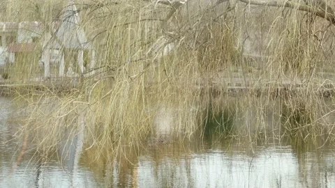 A man in a melancholy mood by the lake Vídeos de archivo 170800622