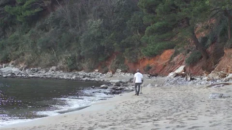 Man with metal detector on the beach Stock Footage 45891672