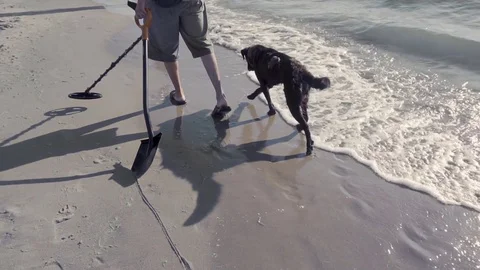 Man with Metal Detector on the Beach Видео 79535698