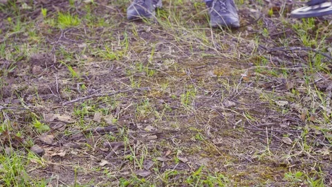 A man with a metal detector is digging, close-up Stock Footage 89700140