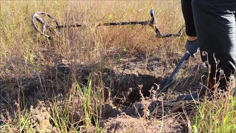 A man with a metal detector digs a hole in the ground with a shovel. Stock Footage 301345778