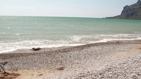 A man with a metal detector walks along the beach Stock Footage 76424643