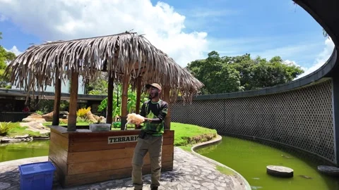 Man with microphone explaining to crowd at animal park, showcasing shed skin of Stock Footage 319052890