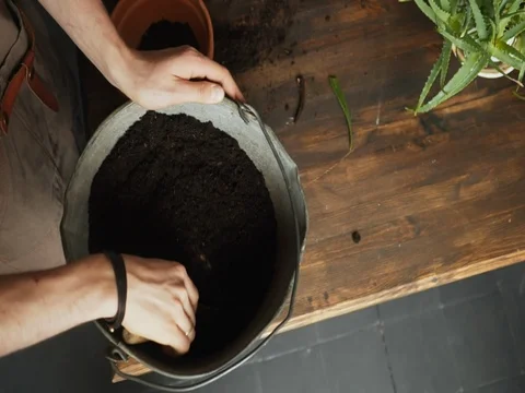 Man Mixing Soil For Planting Stock Footage 77967392
