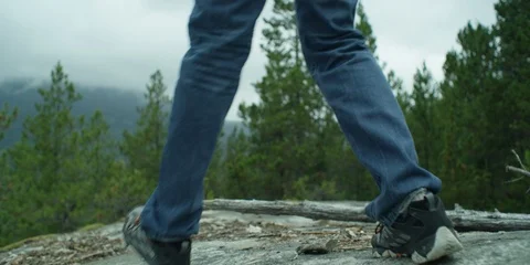 Man with mobile phone searching location in the forest Stock Footage 86248672
