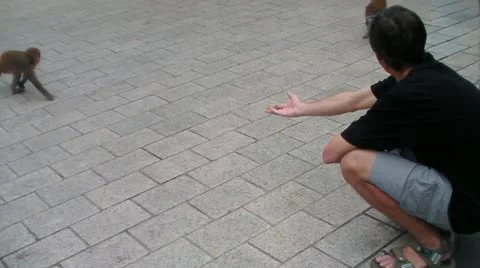 Man with monkey Видео 20435354