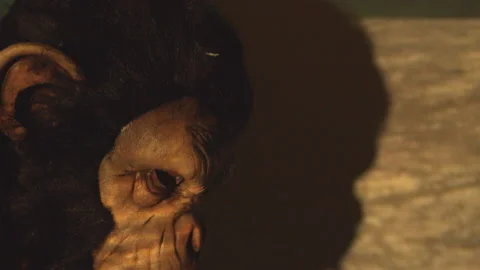 Man in Monkey Mask Stock Footage 234210348