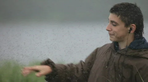 Man, mosquitoes, midges Video stock 848843