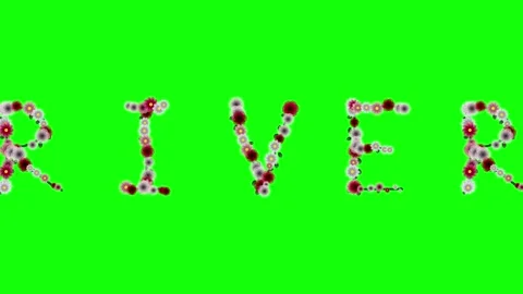 Man Motion on Green Screen Chroma Key Background Video stock 337996669