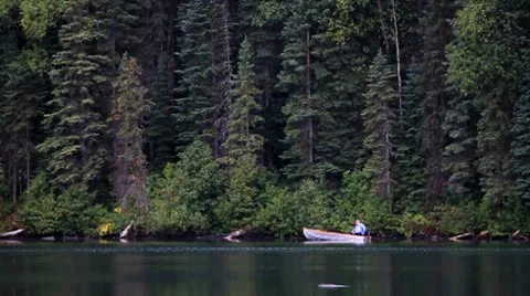 Man in motor boat passing trees on shore Stock Footage 10748712