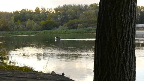 A man in motorized boat on the river Stock Footage 71259449