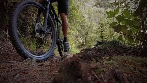 A Man Mountain Biking On A Singletrack Dirt Trail Through A Forest in slow Stock Footage 108964059