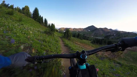 Man Mountain Biking Through Alpine Meadows And Wild Flowers At Sunset Video stock 115103555