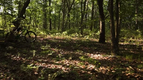 Man-Mountain-biking-through-woods Stock Footage 114096234