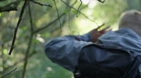 A man moves a branch out of the way while he walks through a forest Stock Footage 34010641