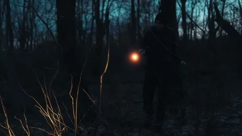 A man moves carefully through the dark forest, guided by a flashlight. Stock Footage 301245427