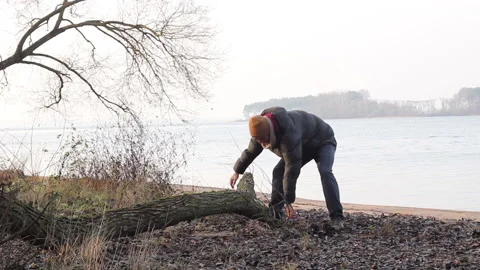 A man moving a fallen tree Stock Footage 144221859