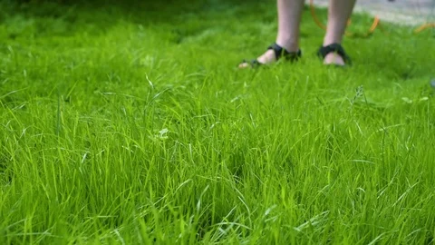 Man moving the lawn with electrical grass cutter Stock Footage 107793071