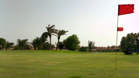 Man with mower, cutting the grass in the golf lawn in slow motion Stock Footage 81231530