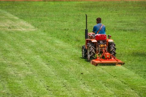 Man on mower cutting grass Stock Photos