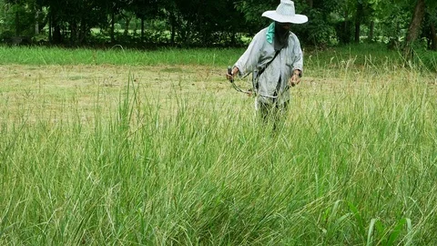 Man mower grass Stock Footage 111715499