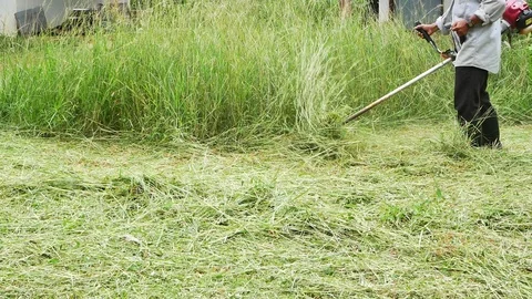 Man mower grass slowmotion Stock Footage 111769949