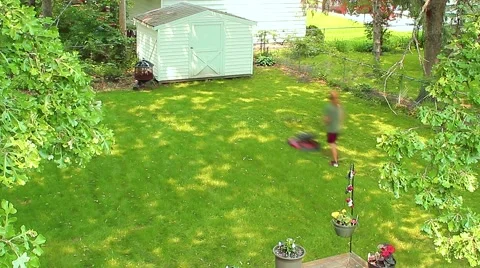 A Man Mowing the Backyard in the Summer Video stock 53341576