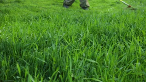 Man is mowing on dandelion meadow Stock Footage 95943874
