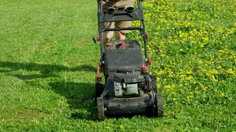 Man mowing dandelions in the back yard garden plot with a gasoline lawn mower. Vídeos de archivo 242137480