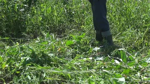 Man mowing the grass Stock Footage 10837645