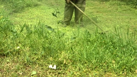 A man mowing the grass Stock Footage 88953046