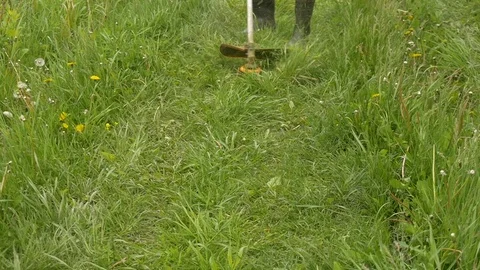 A man mowing the grass in the garden Stock Footage 76429541