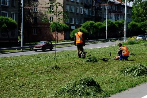 Man is mowing the grass Stock Photos