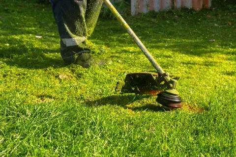 Man mowing grass with string trimmer. Gardener trimming lawn in summer 写真素材