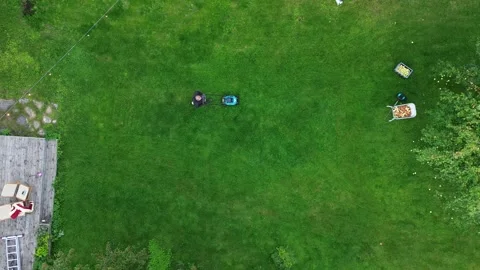 Man mowing grass top view drone 4k with apples garden greenery. Stock Footage 251035060