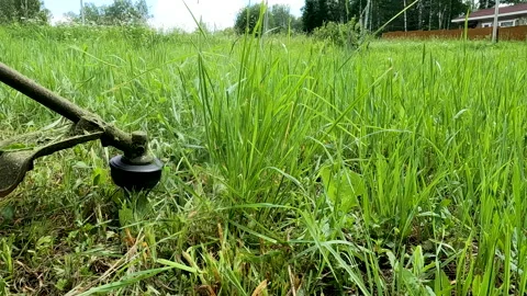 Man mowing grass with a trimmer Stock Footage 197545957