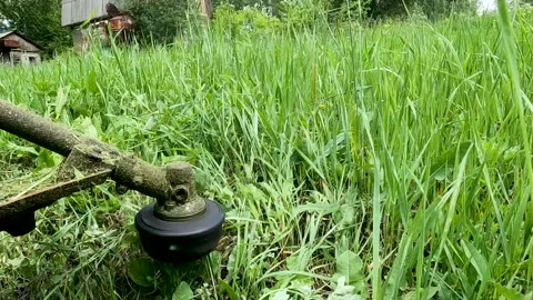 Man mowing grass with a trimmer Stock Footage 197546474