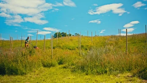 Man Mowing Grassy Hillside Stock Footage 345529804
