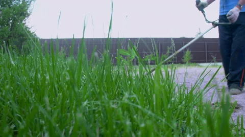 A man mowing the green grass Stock Footage 64776550
