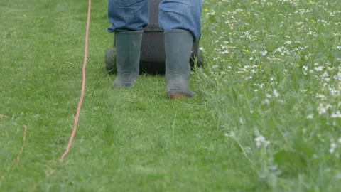 Man mowing the lawn in the backyard Stock Footage 142030238