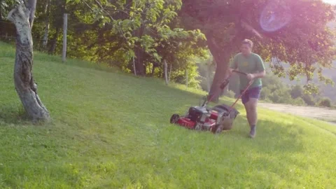Man mowing lawn between fruit trees with red petrol rotary lawnmower Stock Footage 158548295