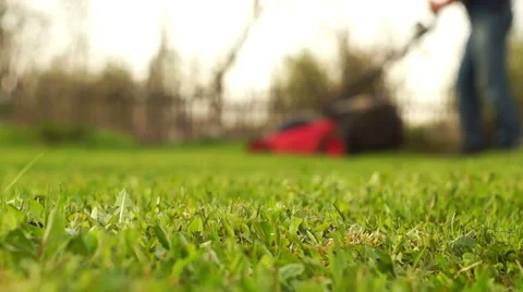 Man Mowing a Lawn Video stock 63029051