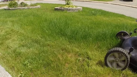 Man mowing the lawn Stock-Footage 84077156