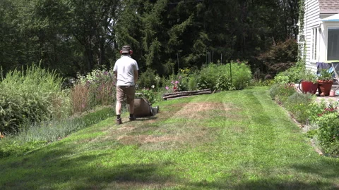 Man Mowing Lawn with Push Mower in Summer Stock Footage 315535296