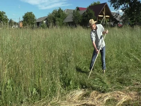 The man is mowing with the spit . Stock Footage 81253934