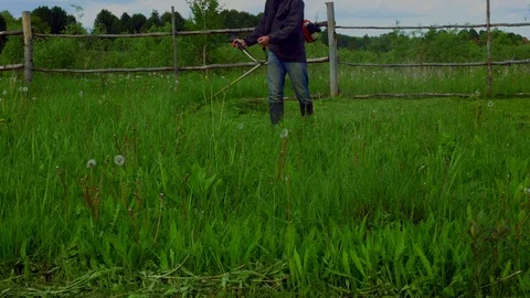 A man mowing wild grass grown grass with a lawn mower Stock Footage 101890464