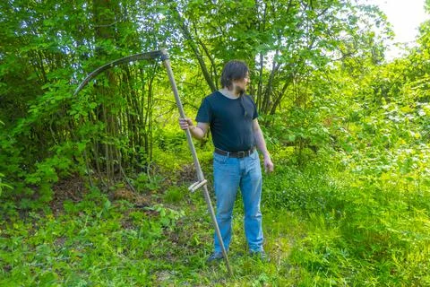 A man mows the grass with a authentic hand scythe. Stock Photos