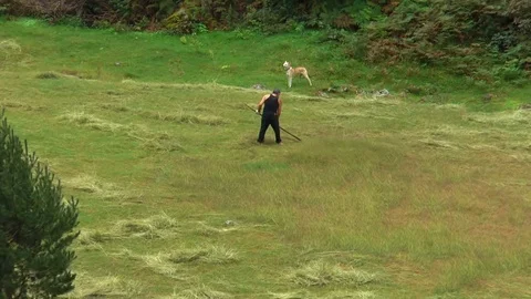A man mows the grass in the countryside Stock Footage 70589865